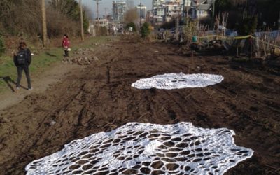 Laying doilies on devastated gardens: a bit of sublime madness?