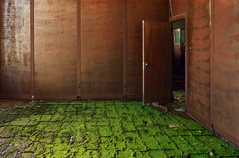 Hope springs forth from lush, haunting images